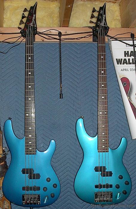 Ibanez Sg Bass