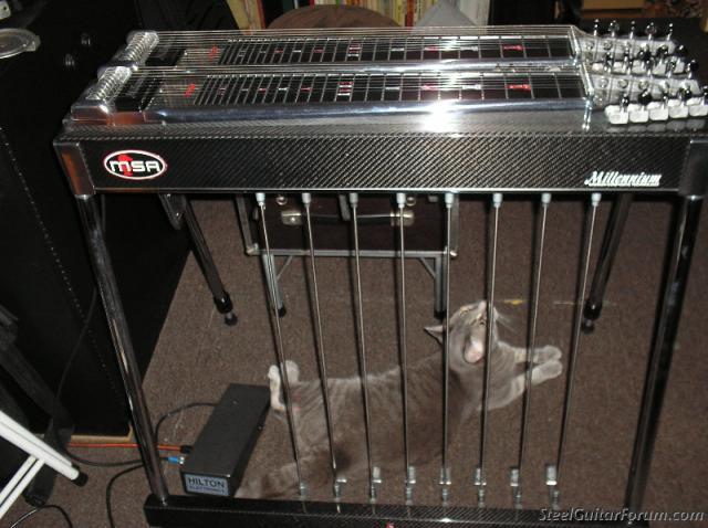 Msa Pedal Steel Guitar Salt Lake City Music Reverb