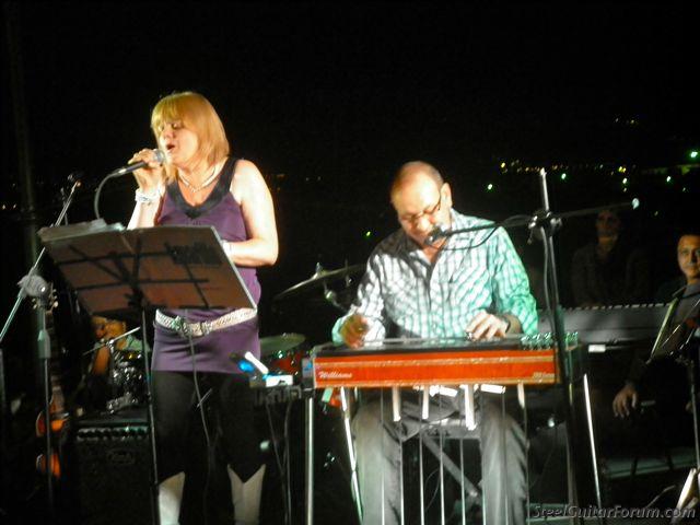 David hartley on sale steel guitar music