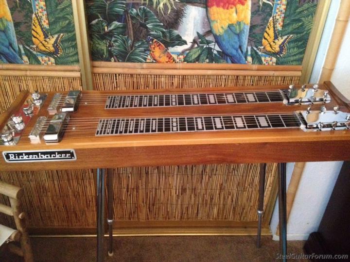 Double neck steel guitar outlet