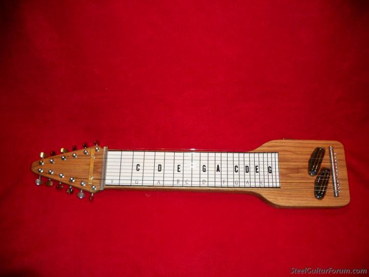 12 string on sale lap steel