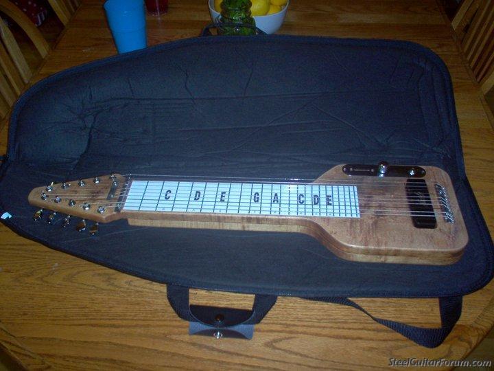 12 string on sale lap steel