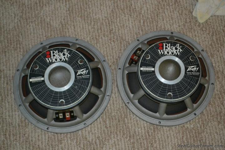Peavey spider store speakers