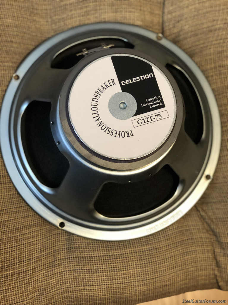 a plus 12 inch speaker