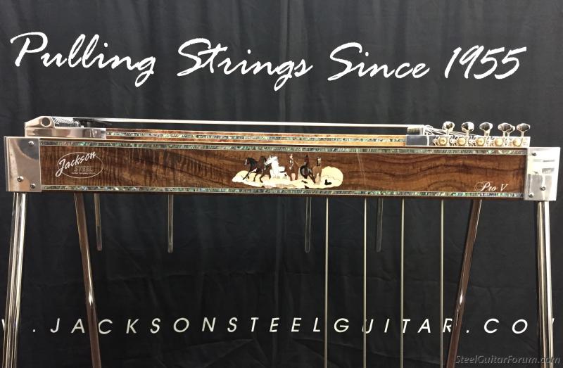 Jackson steel on sale guitar company