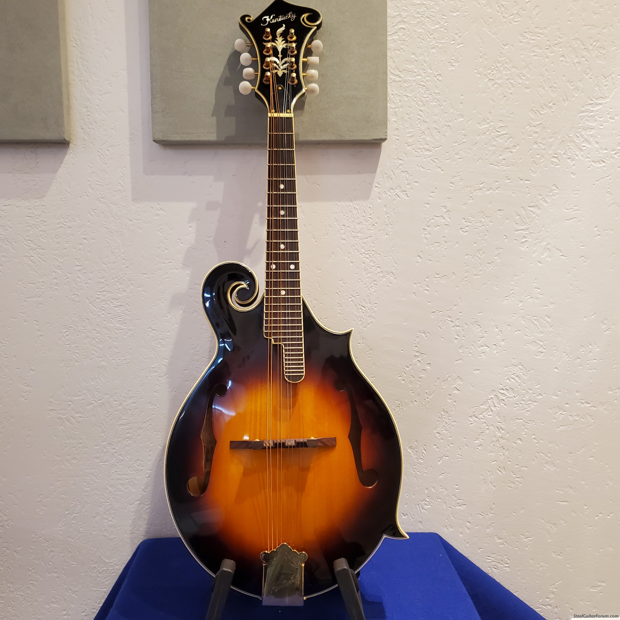 Mint Kentucky KM 620 Mandoiln The Steel Guitar Forum