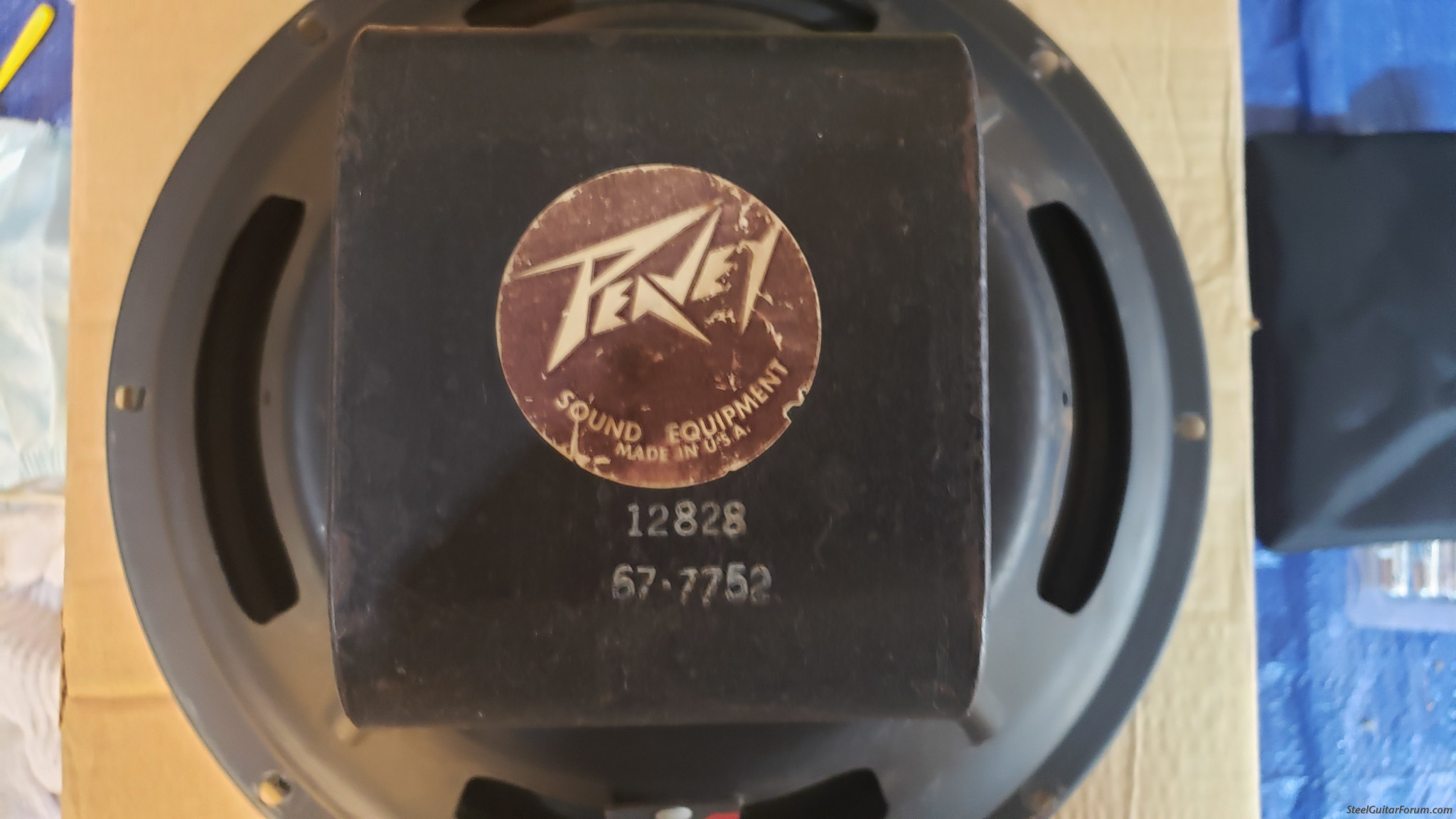 Is This Peavey Vintage Alnico 12" Speaker Worth Reconing? The Steel