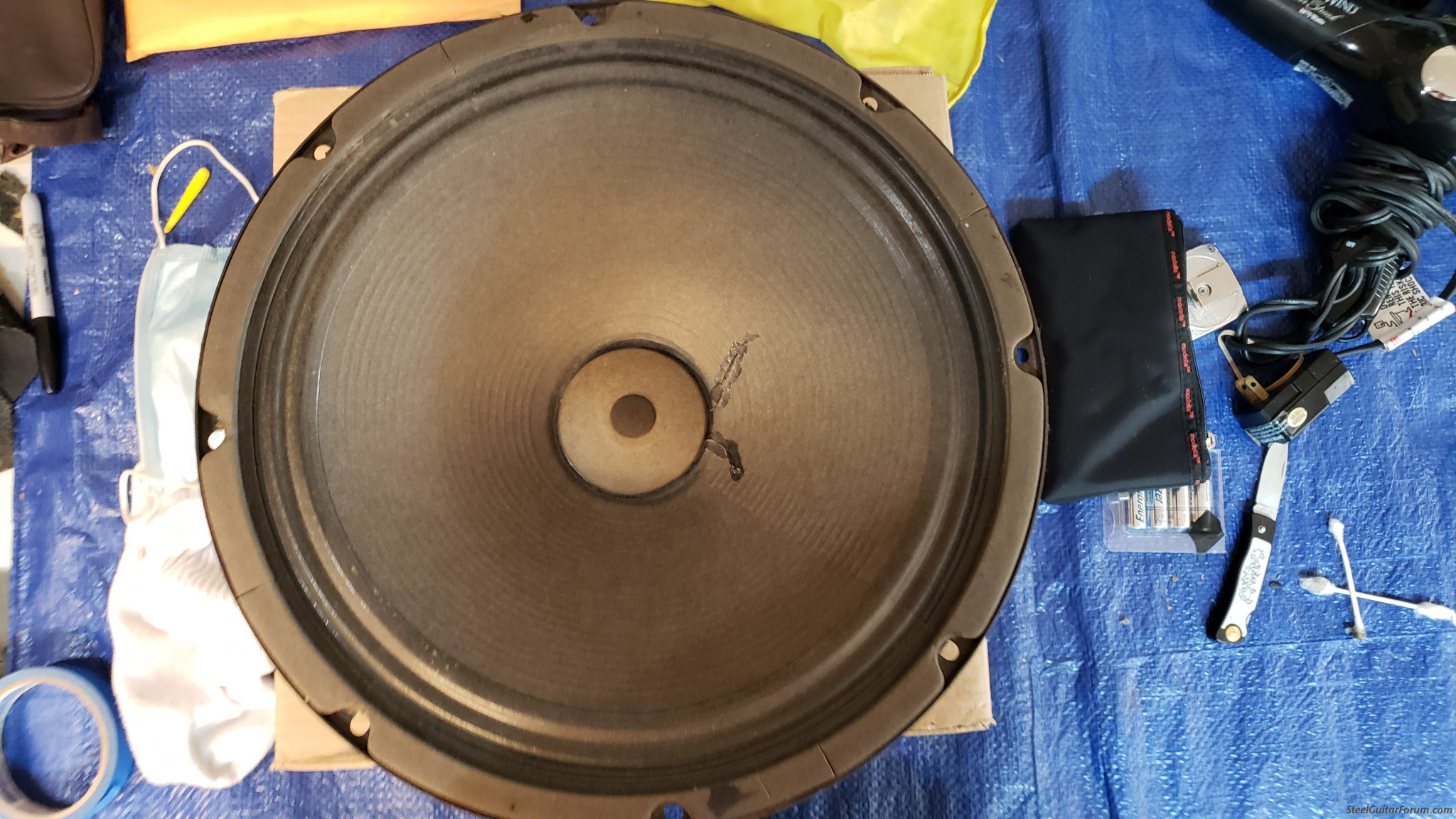 Is This Peavey Vintage Alnico 12" Speaker Worth Reconing? The Steel