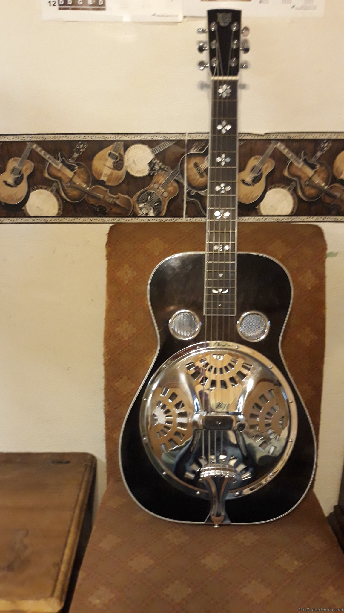 Dobro The Steel Guitar Forum