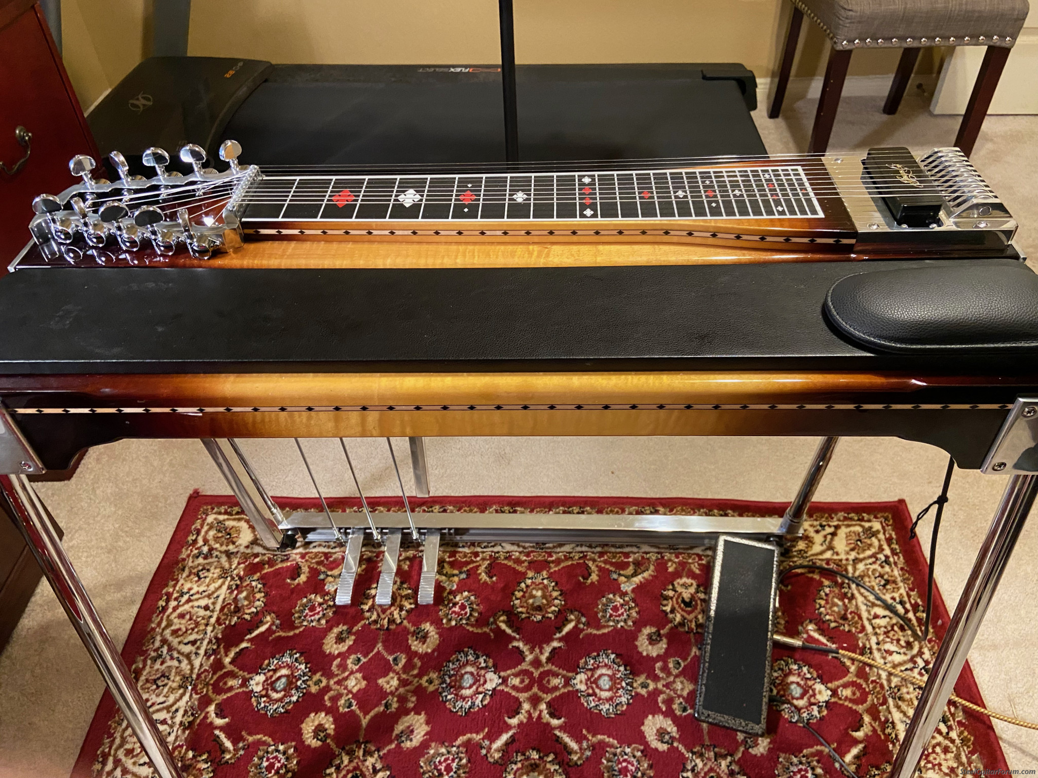 Show Pro 'The Lloyd Green' The Steel Guitar Forum