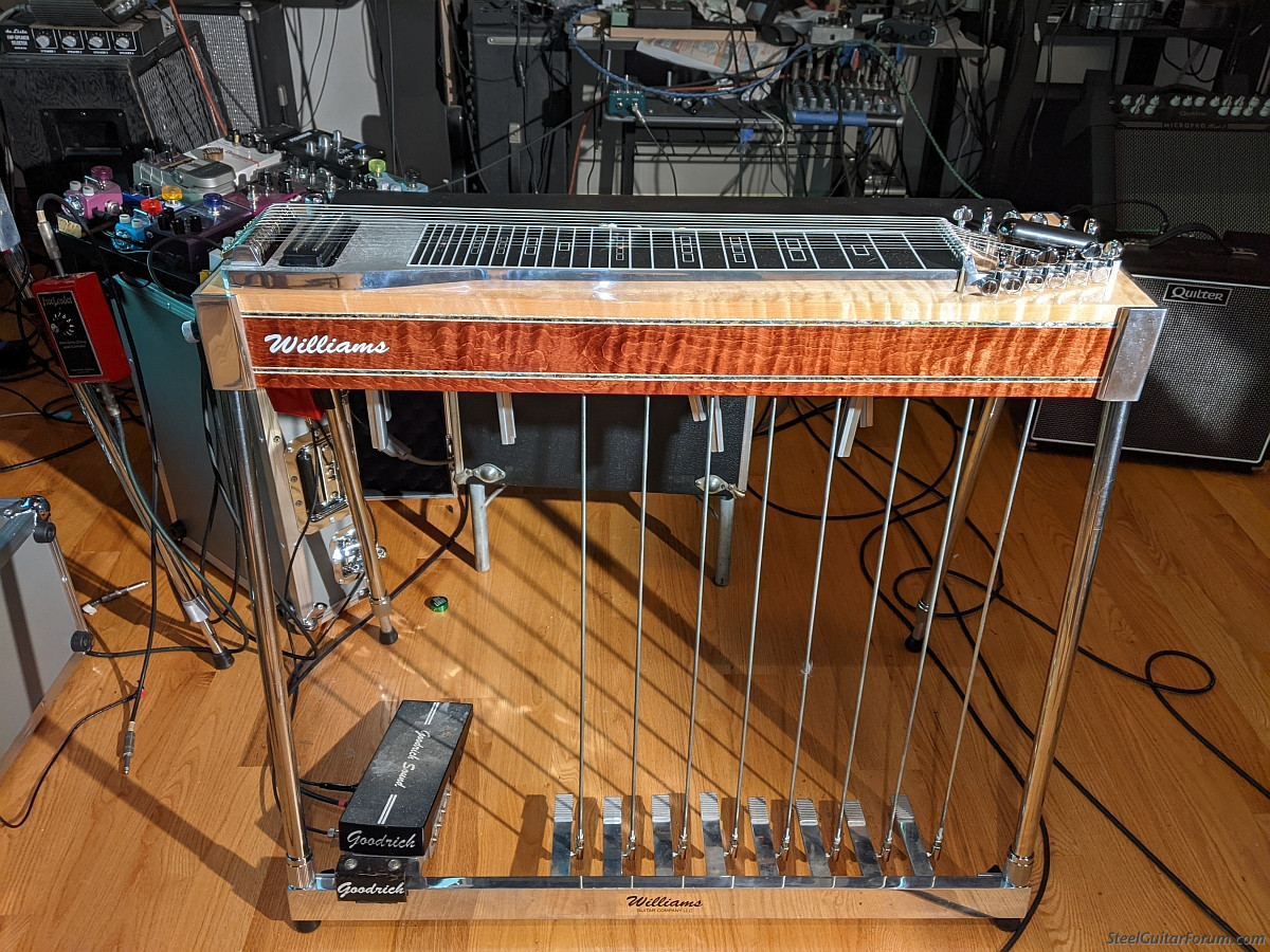 Williams S10 ordered but what colour to choose The Steel Guitar