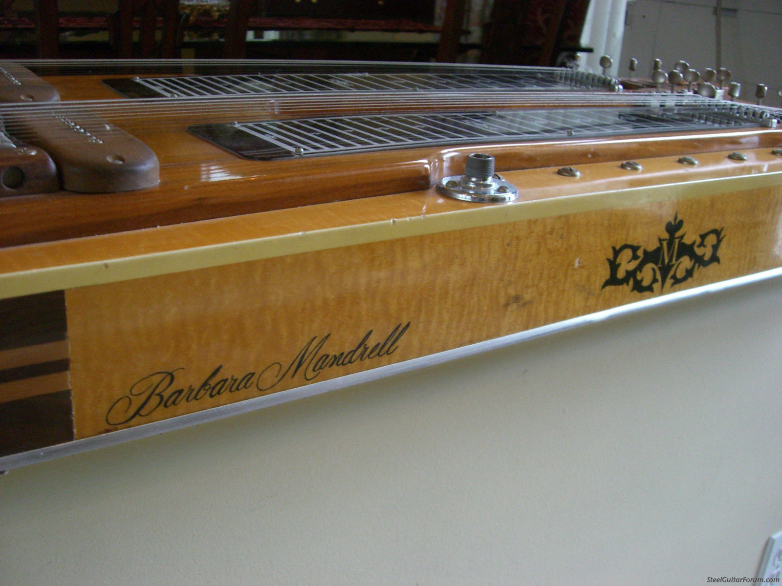 Lesser Known Brands The Steel Guitar Forum