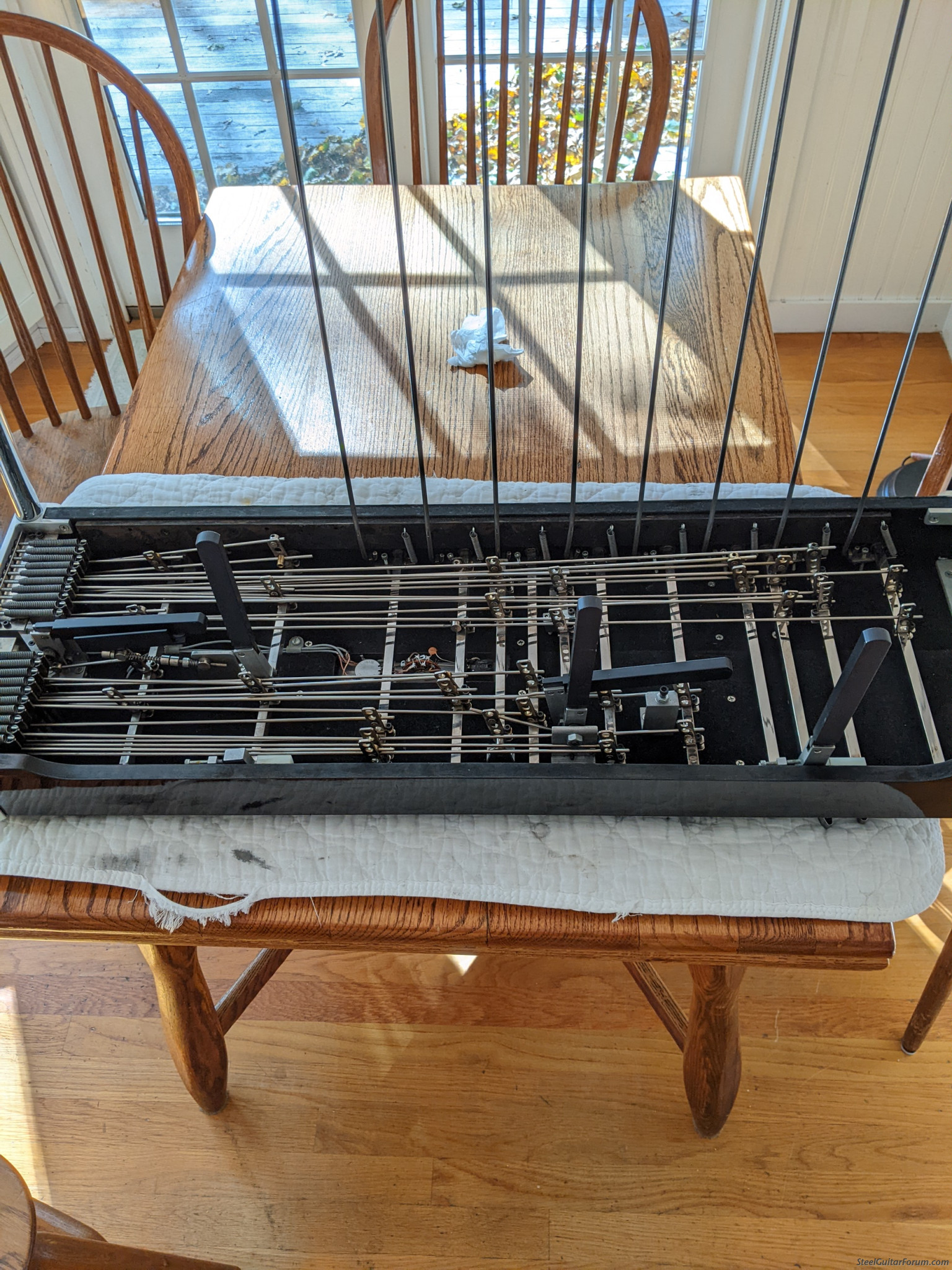 ** Please close.. The Steel Guitar Forum