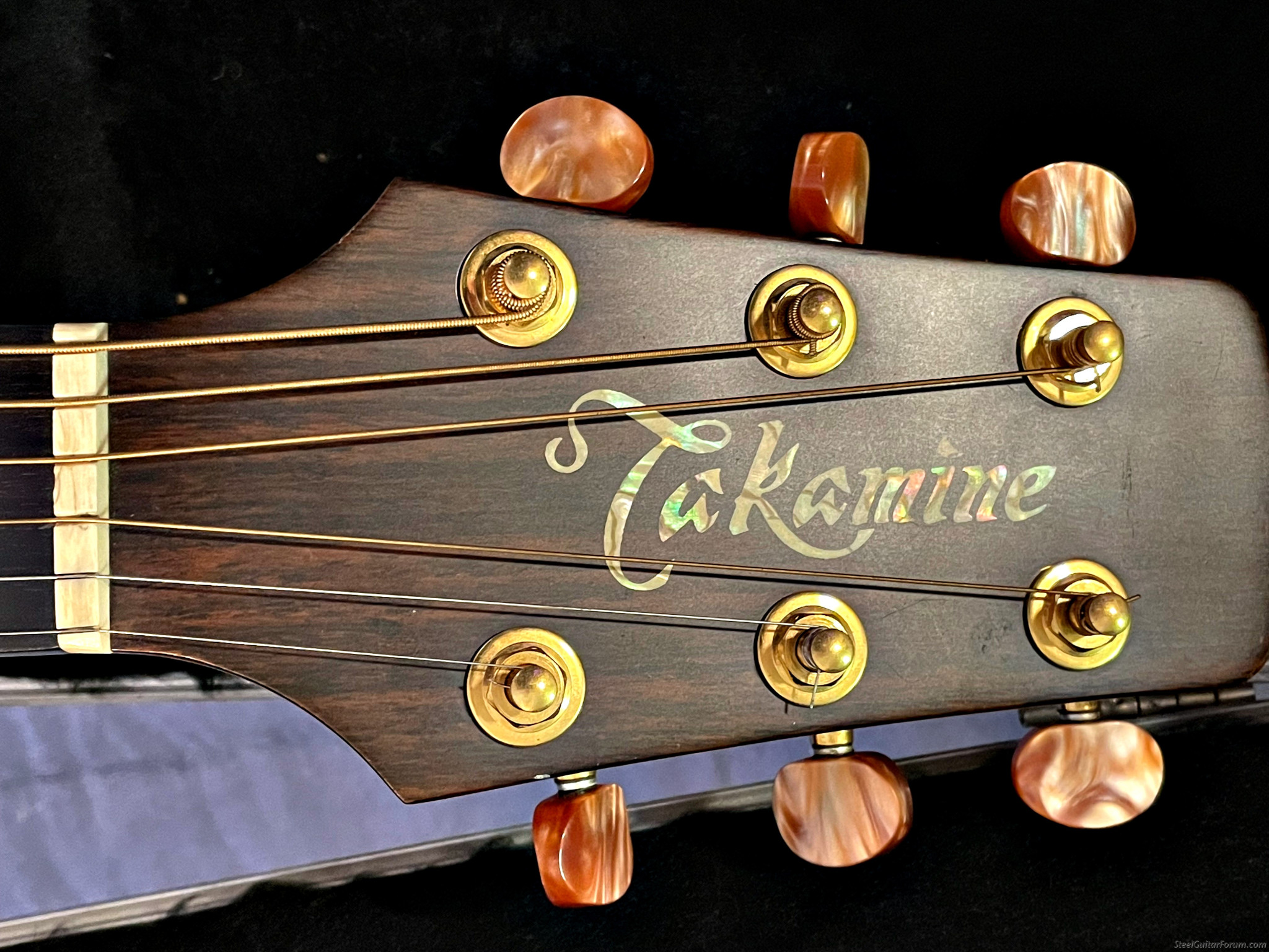 Vintage Japanese Takamine EN18 Acoustic + HSC 999 The Steel