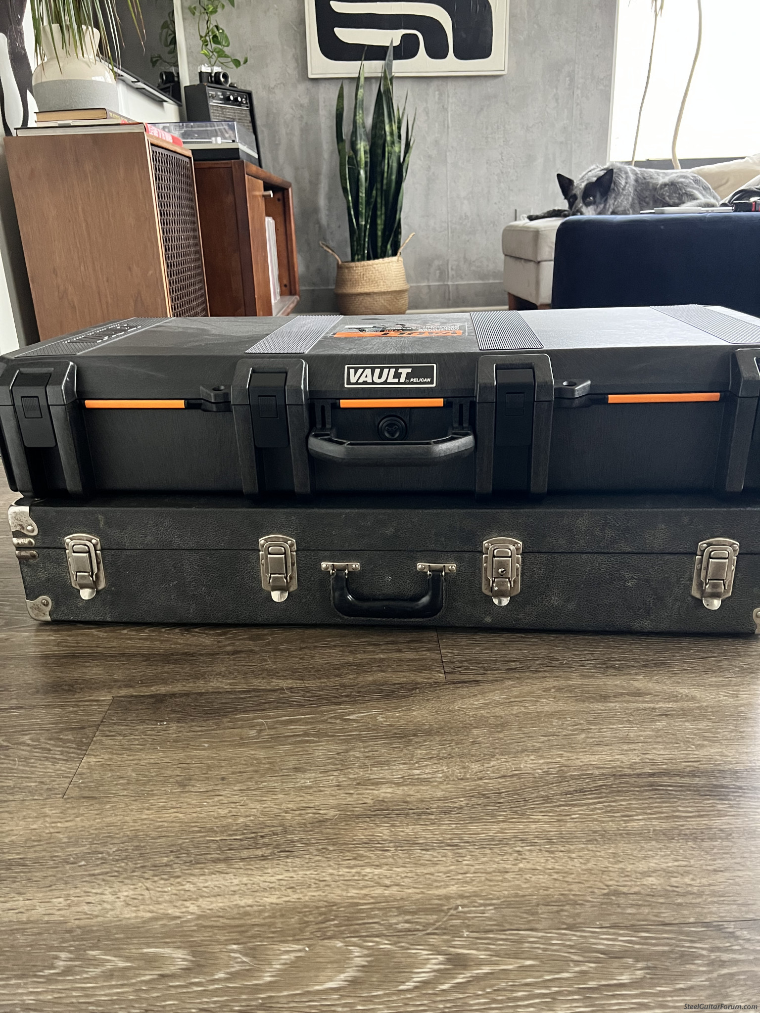 Trying out a Pelican V700 case for D10 Emmons The Steel Guitar Forum