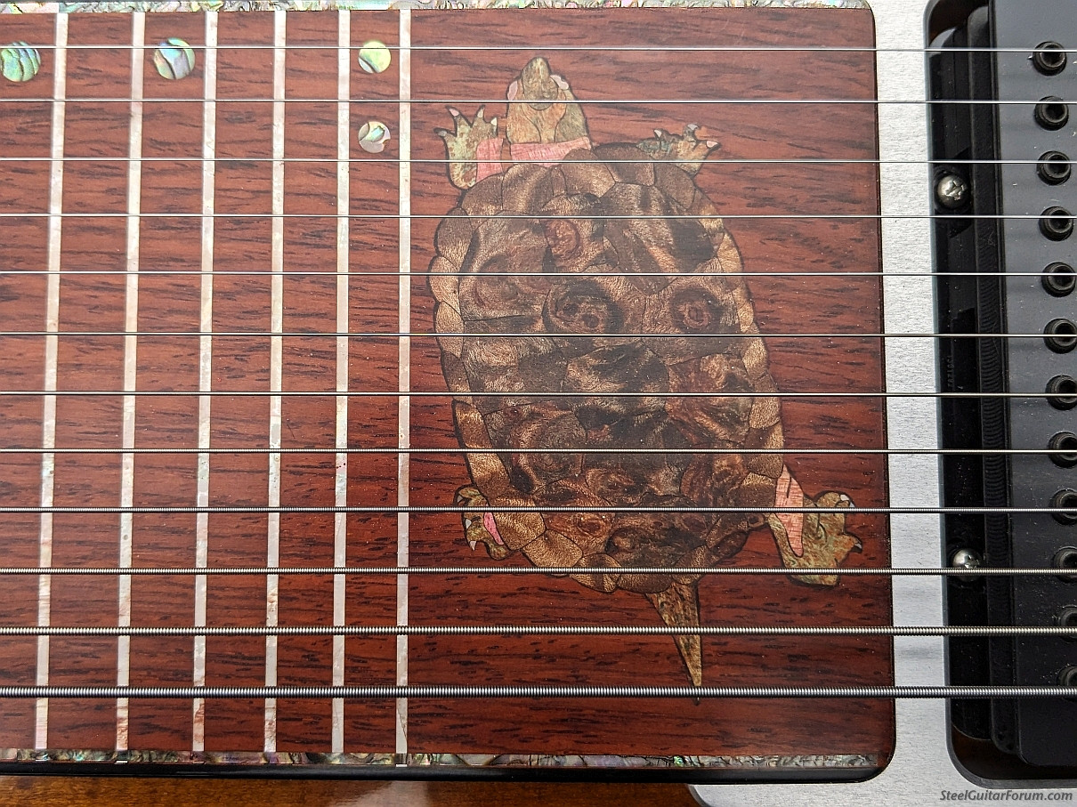 Sierra Steel Guitars : The Steel Guitar Forum